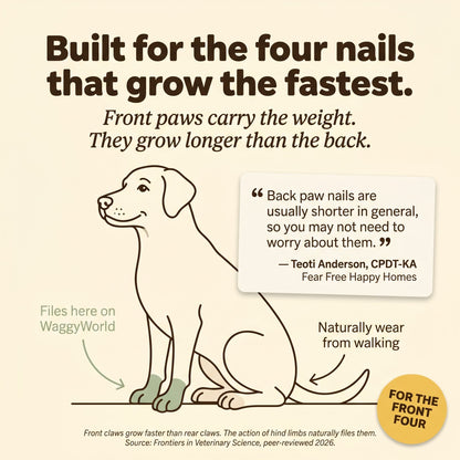 Dog nail scratch board for fast-growing front paw nails, Fear Free trainer approved
