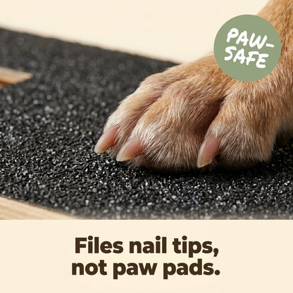 Dog paw on sandpaper scratch board files nail tips not paw pads