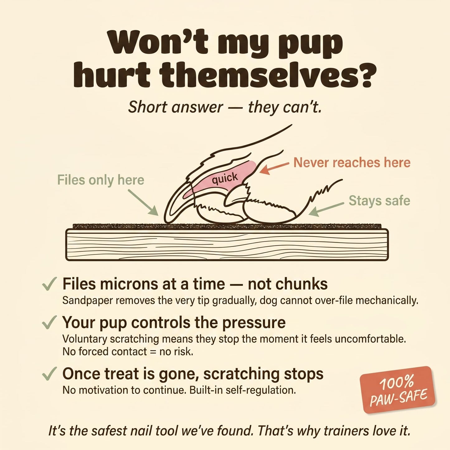 Dog nail scratch board safety diagram showing nail tip filing only
