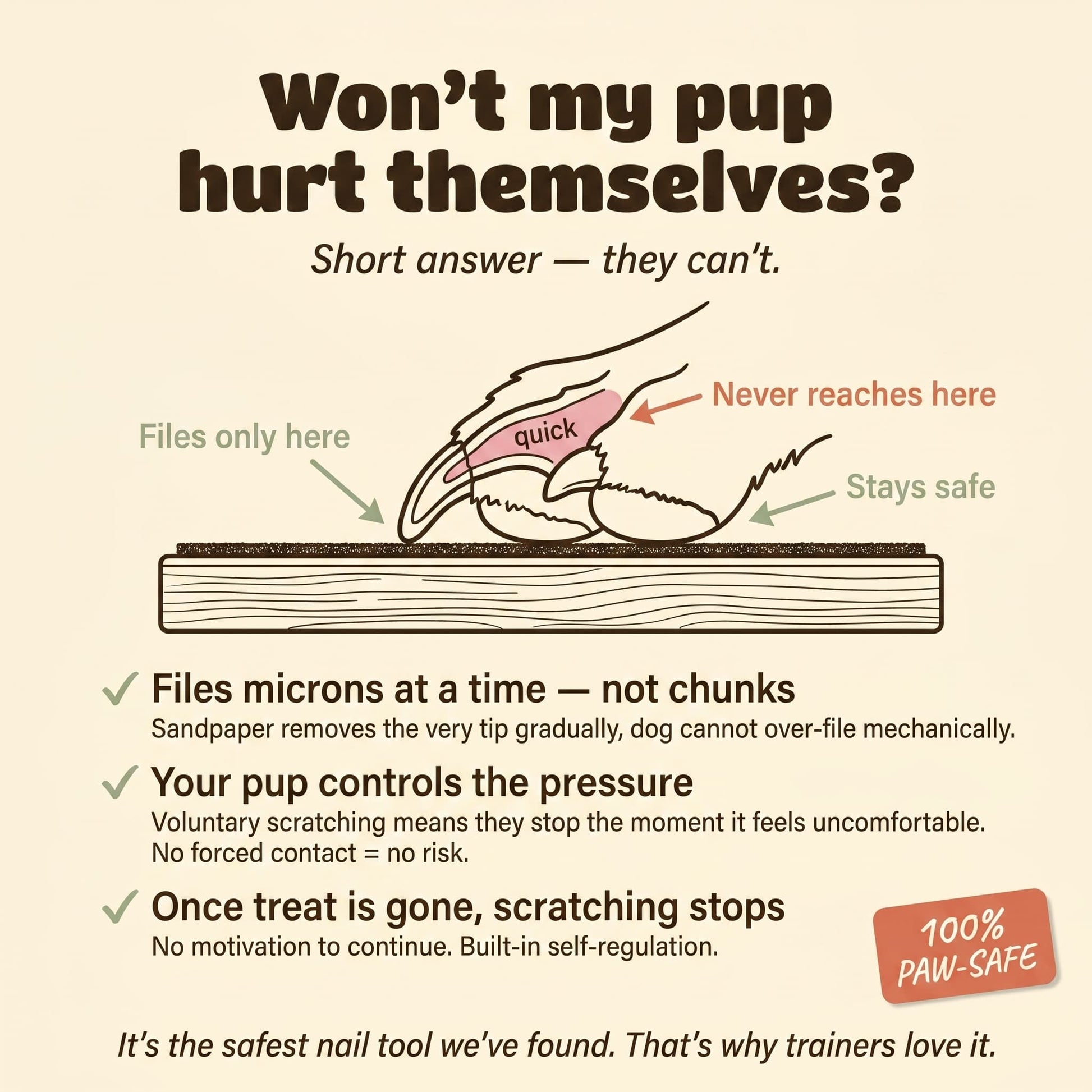 Dog nail scratch board safety diagram showing nail tip filing only