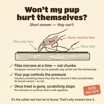 Dog nail scratch board safety diagram showing nail tip filing only
